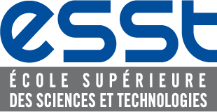 Full Sub-Brand Identity & Website — ESST Group