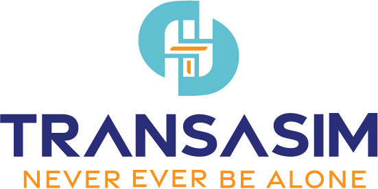 Full Visual Identity — TransaSim