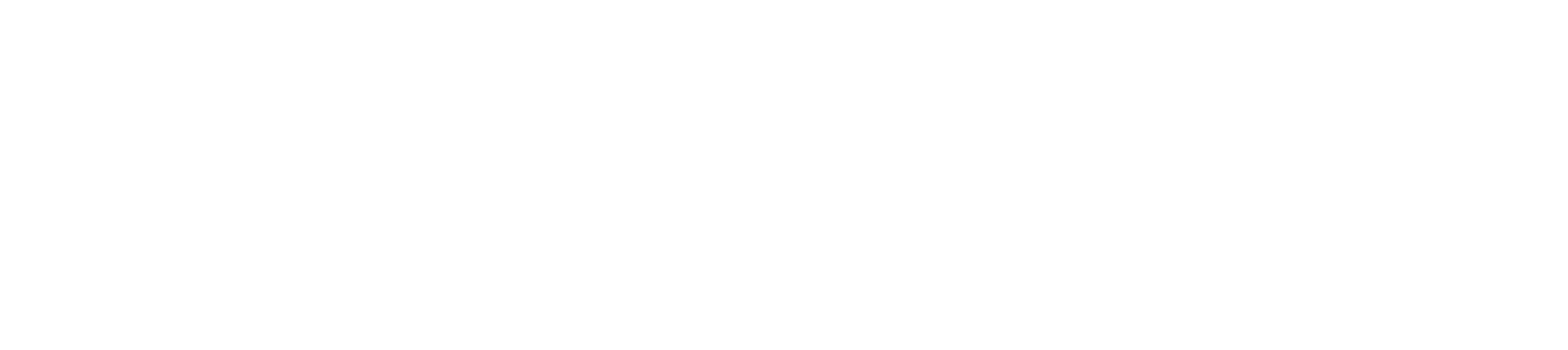 Moon Incorporation